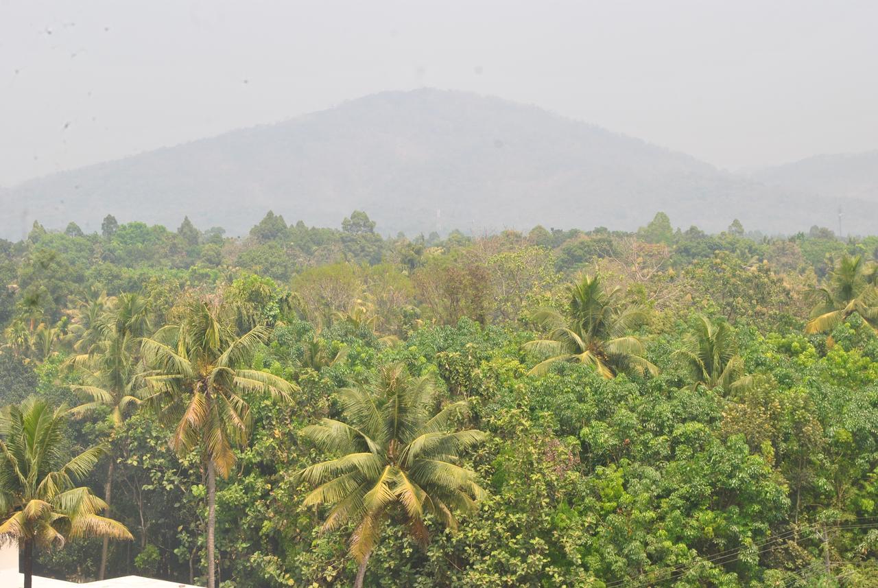 Hotel Dewland Cochin Kochi Exterior foto